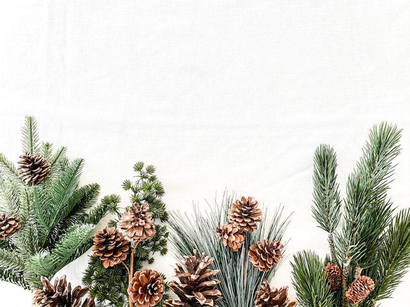 About Pines & Playdates
