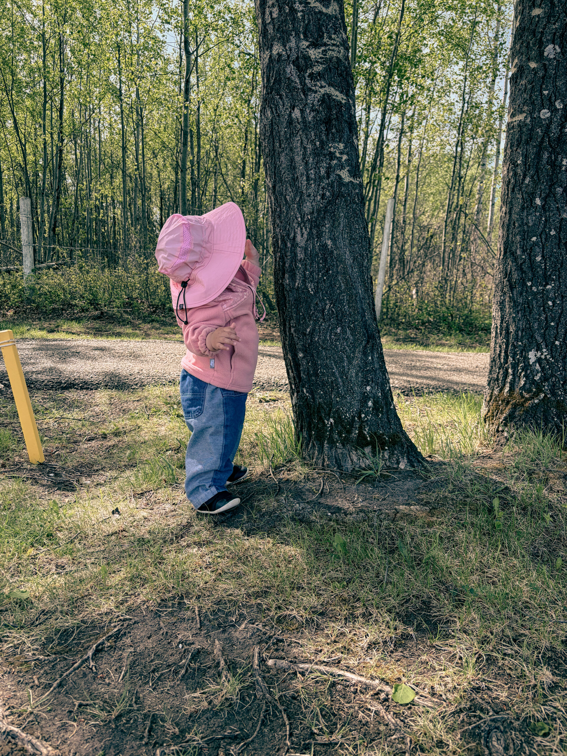 Our Outdoor Safety Routine: The Sunscreen I Actually Trust and Why We Ditched Mosquito Spray